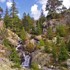 Cascade de la Madone de Fenestre, entre rochers et mélézin clairsemé
